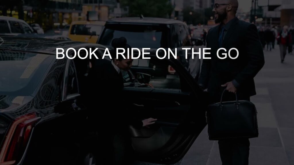 black car airport service to Camino Real Polanco