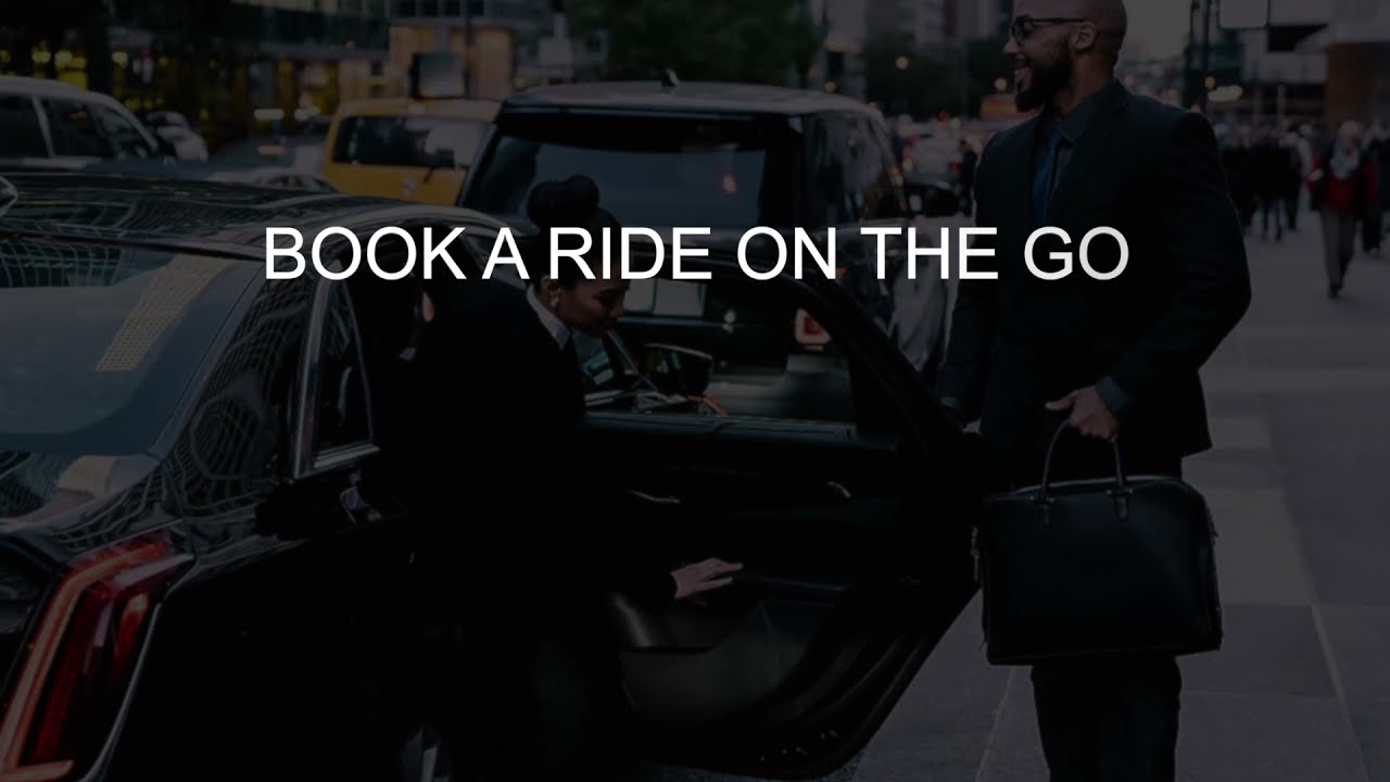 black car airport service to Camino Real Polanco